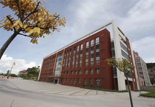 珠海金灣5所本科高校投檔線公布，職業教育培訓助力學子成才